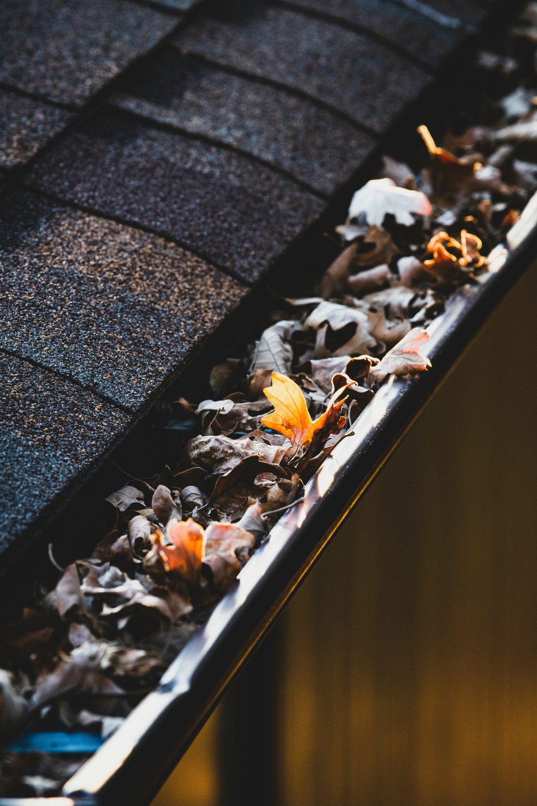 Leaves and debris in a home gutter