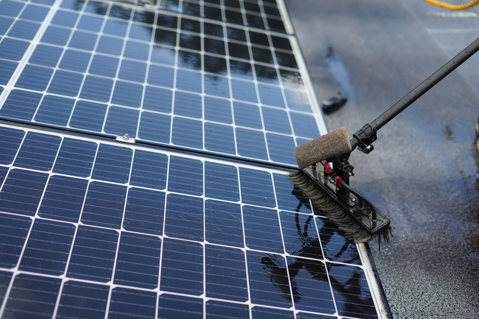 Water-fed pole cleaning solar panels